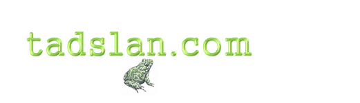 tadslan.com